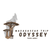 madagascar odyssey 1 removebg preview (1)
